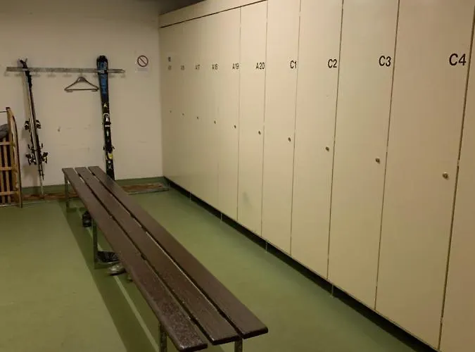 Quellenhof C01 公寓 达沃斯